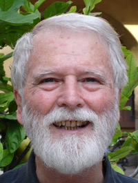 Dieter A. Tscheulin